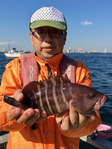 高級魚マハタ・・・美味しいですよ！