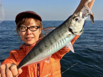 天秤仕掛けは不調・・・アジのナイスサイズ