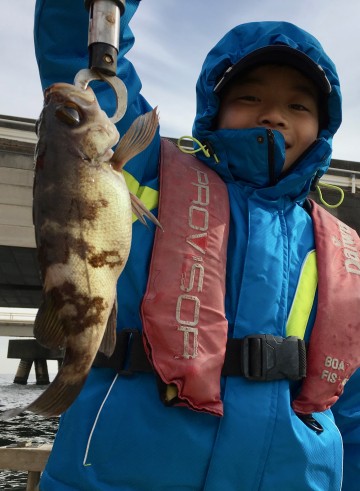 今度はハヤテ君に良型のメバルが・・・！