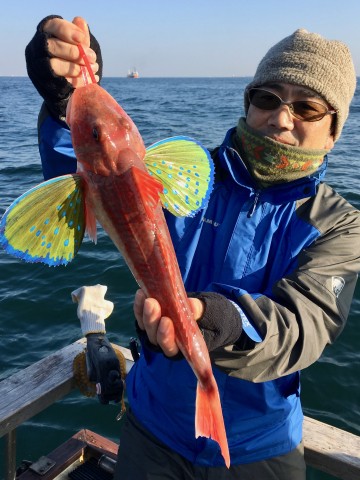 今日は大きなホーボーから・・吉野さん