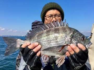 綺麗なクロダイが・・・！