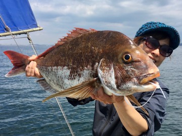 琴ちゃんも負けてはいません・・・4.03kg