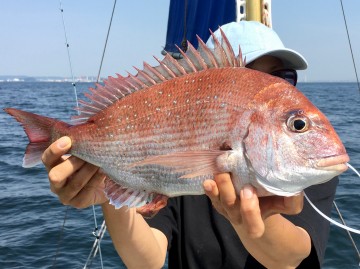 1.02kg・・・綺麗なピンクです！