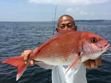 1.65kg・・・綺麗なピンクです・・・！