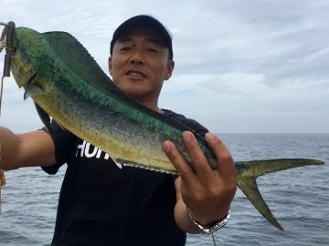 小ぶりなシイラは入れ食い・・・！　