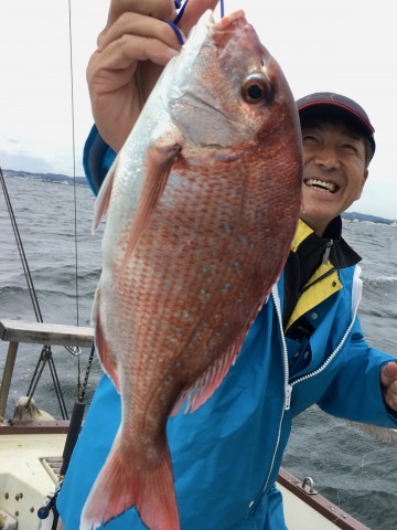 ゴンさんにヒット・・・綺麗なピンク・・・！