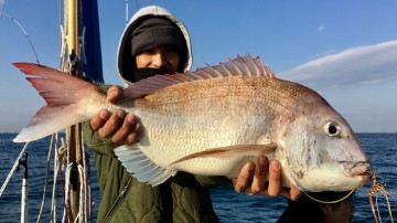 その直後・・・初めての大ダイ・・・3.21kg・・・やったね！！！