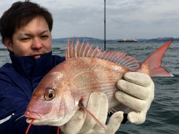 沖縄出身の新城さん・・・寒さに耐え840g・・東京湾デビュー・・！