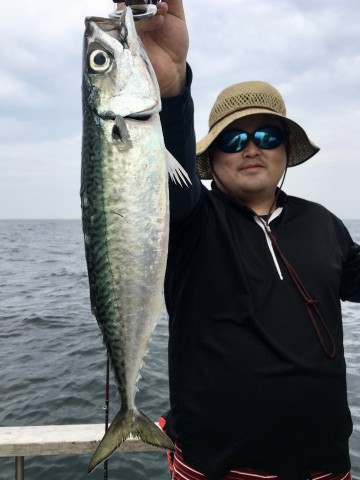 fullsizeoutput_b2b7 サバ・・・美味しそうです・・・由井さん