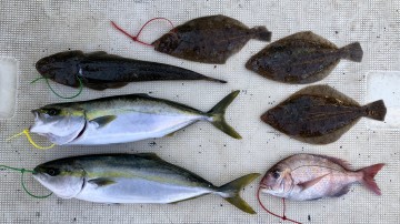 fullsizeoutput_b6cc 粘って釣った釣果です・・・!