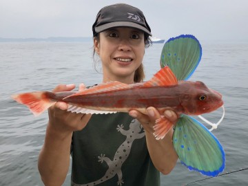 ちびホーボーがかなり釣れた後・・・綺麗なホーボー・・！