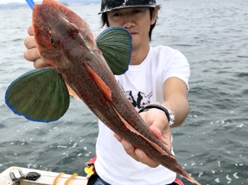 fullsizeoutput_ccae 良型のホーボー・・・美味しいです!