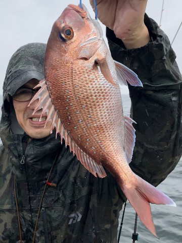 ヤギさん・・・630gの綺麗なピンクを・・・