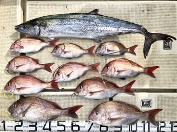 釣果です・・・！