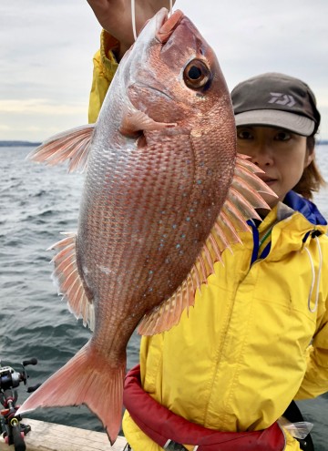 ハナダイの次に580g・・・綺麗です・・・！