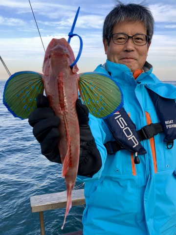 綺麗なホーボーがハギさんに・・・！