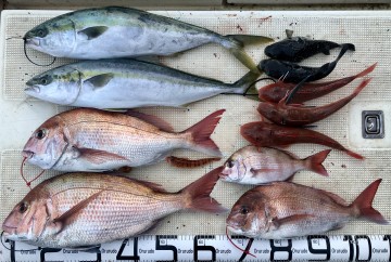 fullsizeoutput_ed97 釣果です・・・!