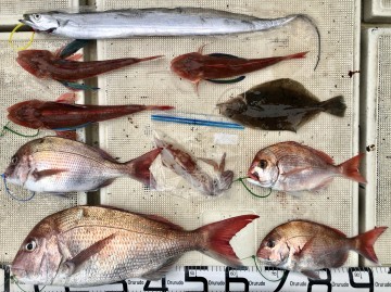釣果です・・・！