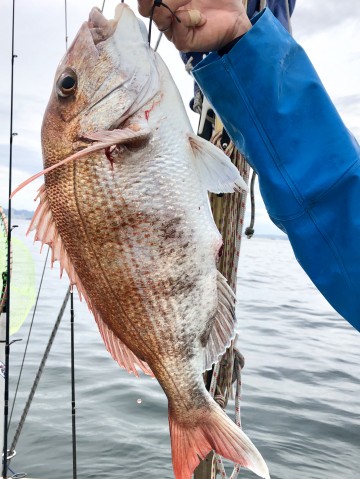 2.38kg・・・お腹パンパンでした・・・やった・・