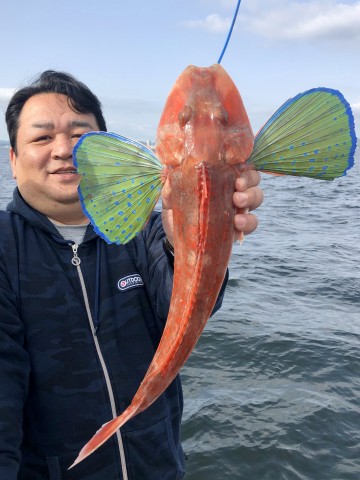 さらにデカほーぼー追加の山口さん