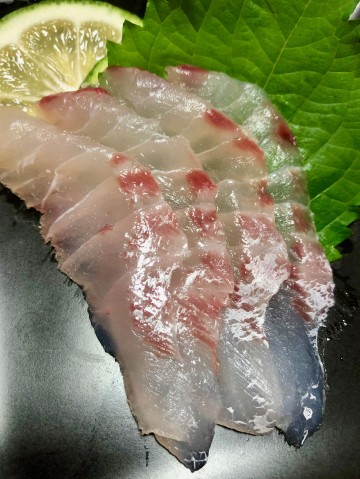 大ニベの刺身・・・真鯛と遜色なく美味い・・・！