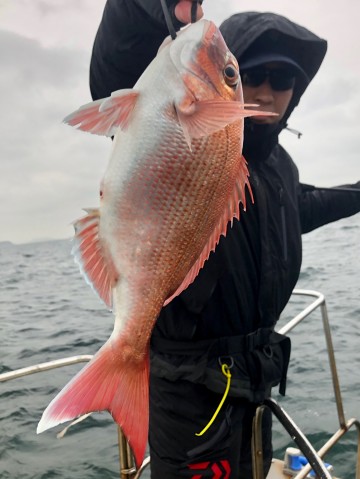 ミヨシで頑張る穴水さん・・・綺麗なピンクを・・・！