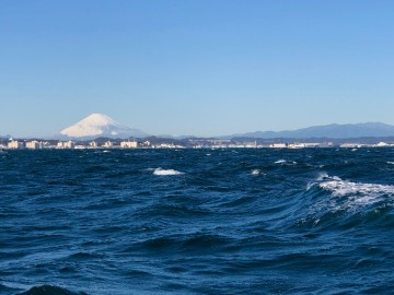 富士山の冠雪が素晴らしい・・・