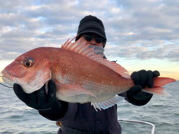 ババちゃん・・・やったね・・・2.9kg・・・！